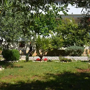Apartament Maslina 